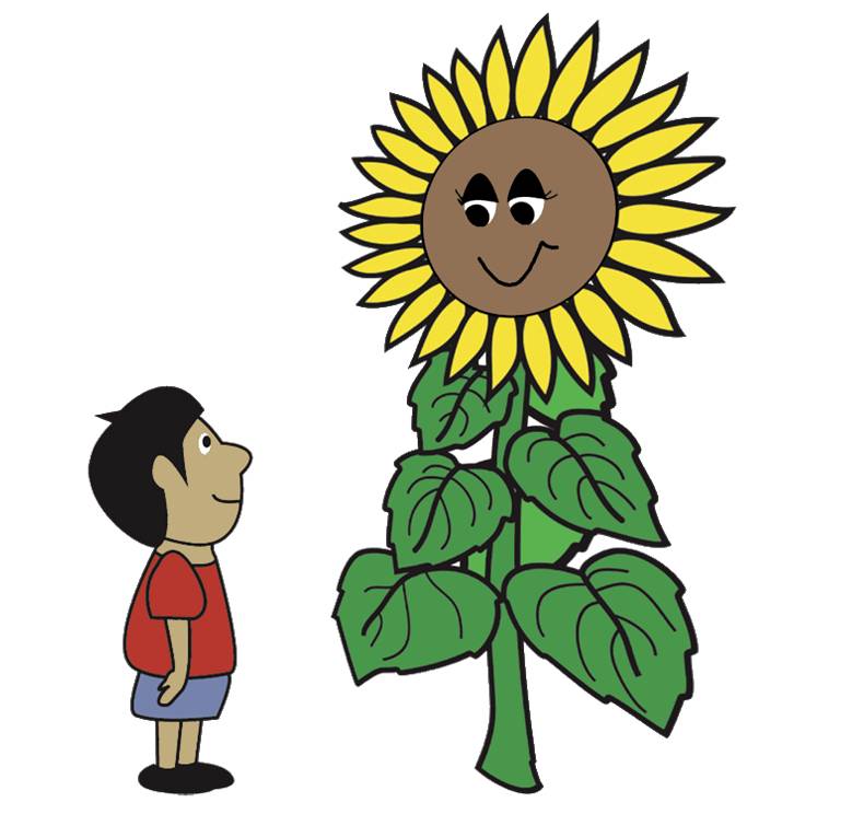 Image result for child next to sunflower